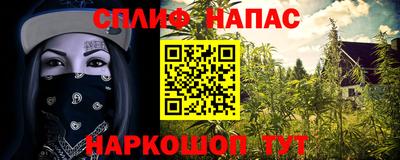 прущие грибы Бузулук