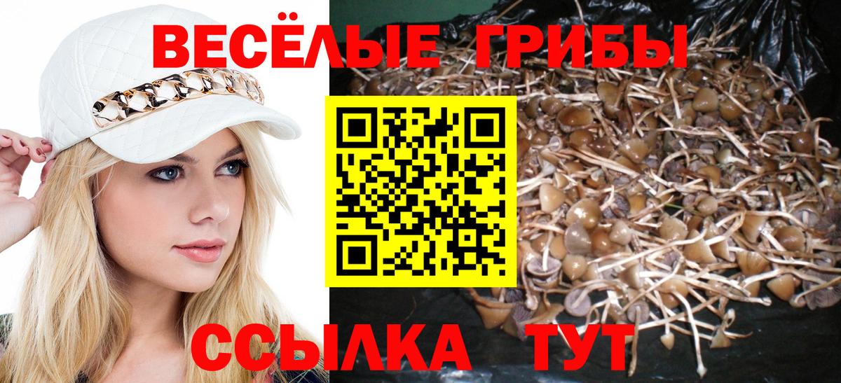 хочу   Вход с VPN  Псилоцибиновые грибы Psilocybe  Фролово  Псилоцибиновые грибы GOLDEN TEACHER 